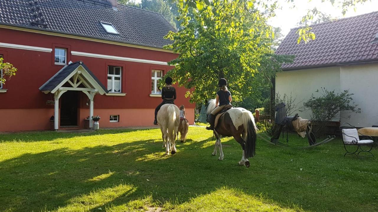 Ferienwohnung Kunz Burg  Exterior photo